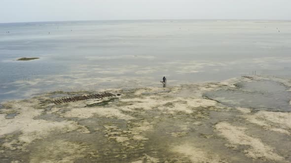 Old african woman with cane laying fish traps on seafloor at low tide.