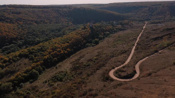 Aerial View Flight Over Beautiful Meadow and Green Wood