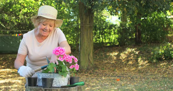 Senior woman gardening in garden