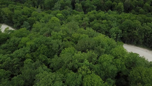 Aerial Top View of Summer Green Trees in Forest Background Caucasus Russia