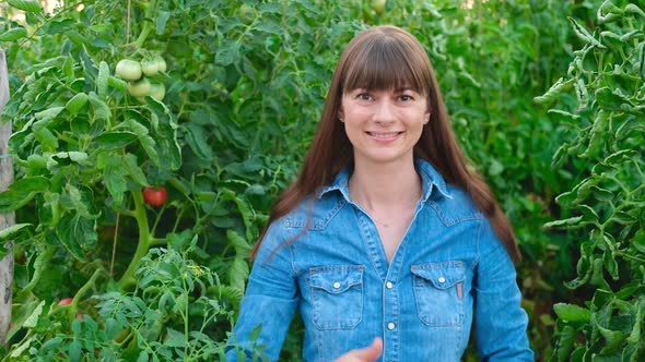 Beautiful Farmer Female Women in Green House of Tomato Showing Thumb Up