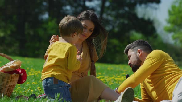 Family having a picnic