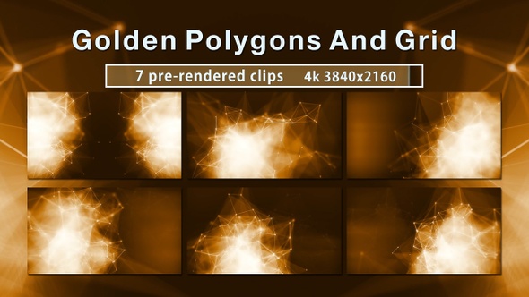 Golden Polygons And Grid