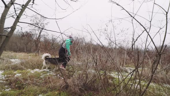 Young Beautiful Woman Walks and Plays with Her Husky Dog at Winter Around Forest