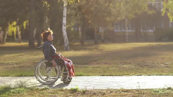 Woman in a Wheelchair Riding in the Park