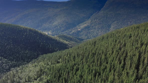 Aerial view of spruce forest, mountains landscape, Flying over mountains and hills with wild forest.