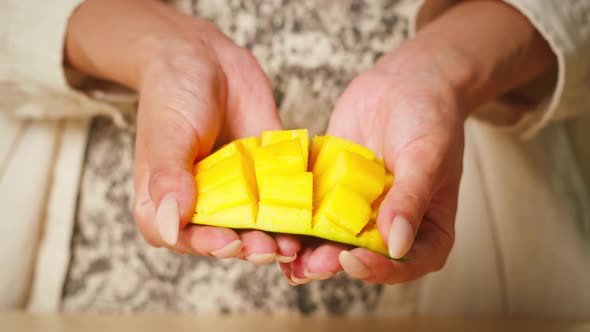 Woman Hands Opening Sliced Mango Closeup Holding Ripe Mango Fruit