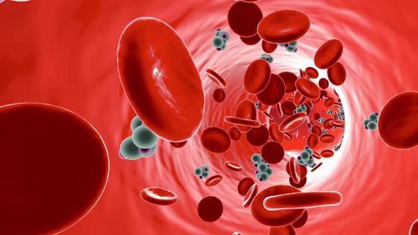 Glucose Molecules in a Bloodstream