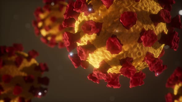 Coronavirus COVID-19 Medical Model alt