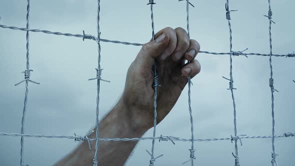 Hand Grasps At Barbed Wire Fence - Prison, POW, Freedom Concept