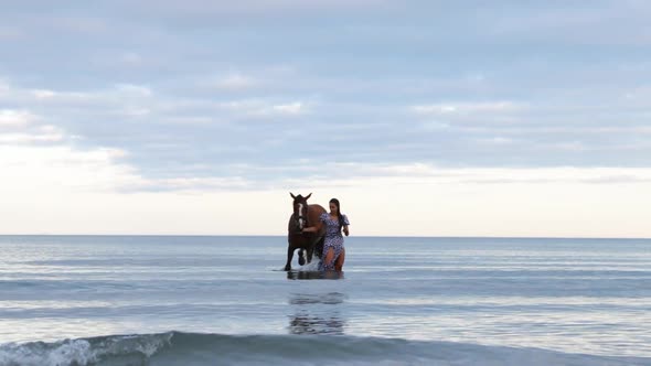 A beautiful girl with long hair in a blue dress walks her horse through the water during the evening