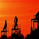 Silhouette of Oil Pumps in Large Oil Field at Sunrise. - VideoHive Item for Sale