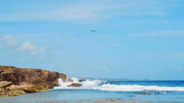 SLOW MOTION, Pelican flying over crashing waves on Caribbean beach, Curacao