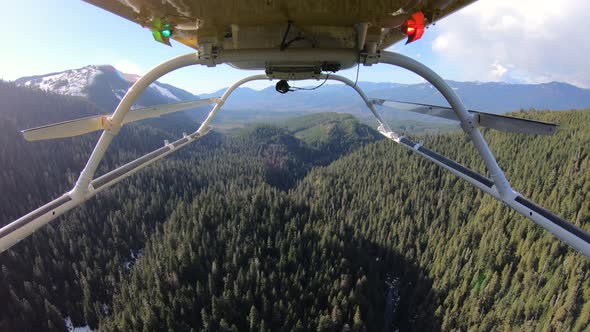 Evergreen Tree Forest River Aerial Flyover Helicopter Mount Angle