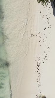 Vertical Video Empty Beach on Zanzibar Island Tanzania