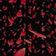 Rose Petals - VideoHive Item for Sale