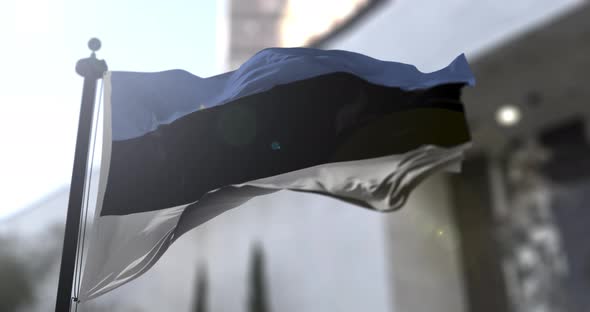 Estonian national flag. Estonia country waving flag