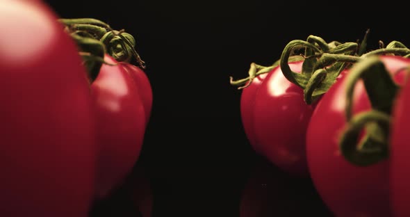 Tomato close up macro shoot 