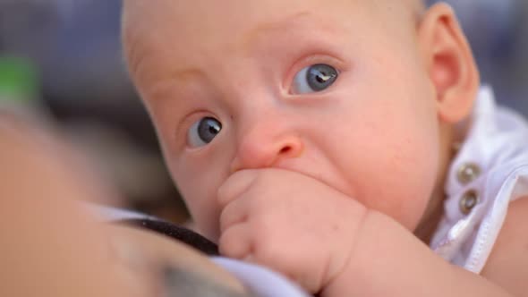 Baby with Hand in the Mouth