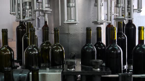 Machinery in a wine bottling plant pick up empty bottles and fill them with red wine and then place