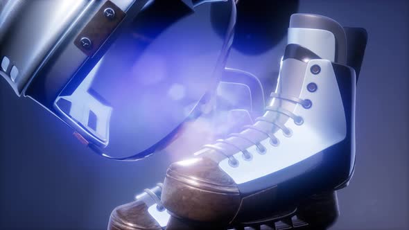 Flying Hockey Puck and Hockey Equipment alt