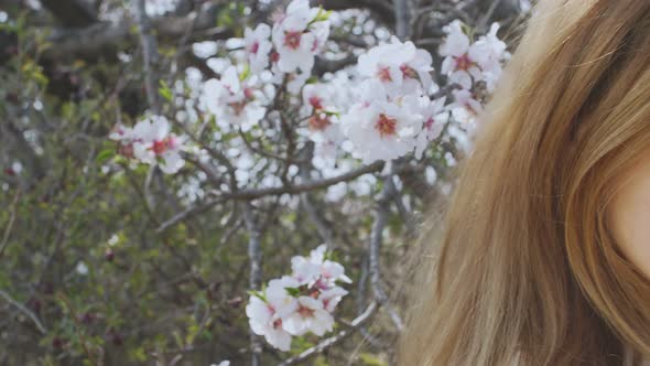 the Face of a Young Beautiful Woman Against the Background of the Spring Flowering Tree
