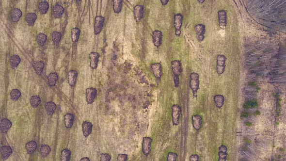 Aerial View of Heaps of Manure Lying in Even Rows in a Field