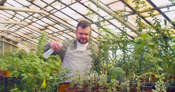 Eco Hobby  Caucasian Man Watering Flowers in a Greenhouse