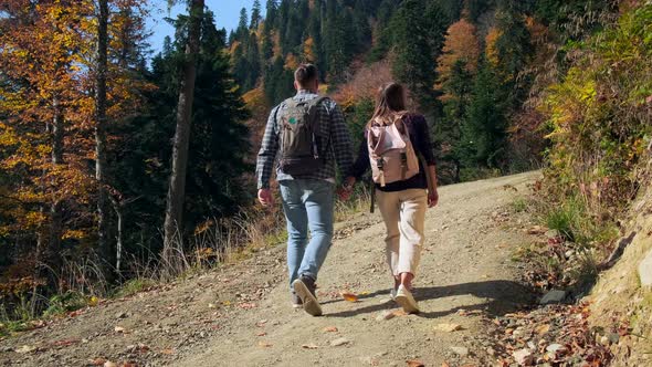 Two Tourists are Hiking in Woodland at Autumn