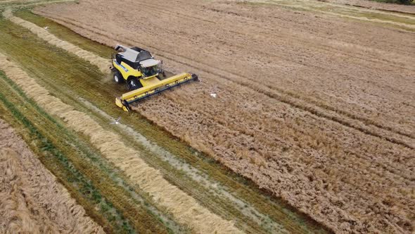 Top View Harvester Large Fields of Wheat Top View Drone Filming