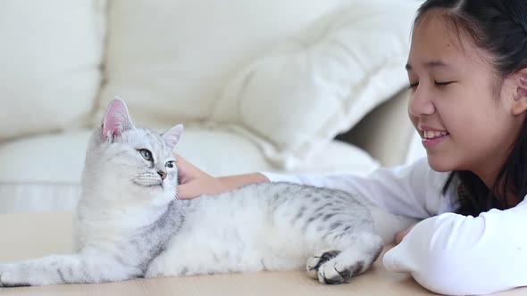 Cute Asian Chid Playing With Persian Kitten Together