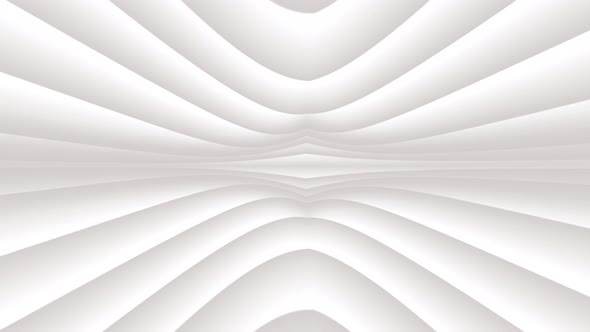 Abstract White Waves Animation Background Colorful