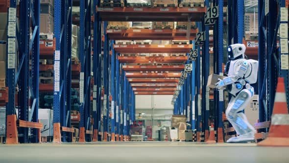 Warehouse Worker Checking Robot Tasks