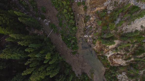 Waterfall and Creek in forest