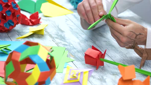 Making Paper Crane at Workshop.