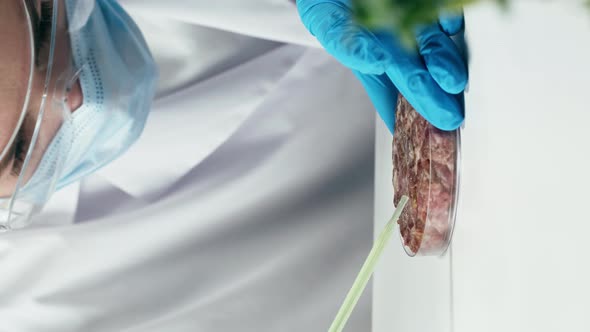 Vertical Video of Medical Scientist Inspecting Minced Vegan Meat Working in Laboratory