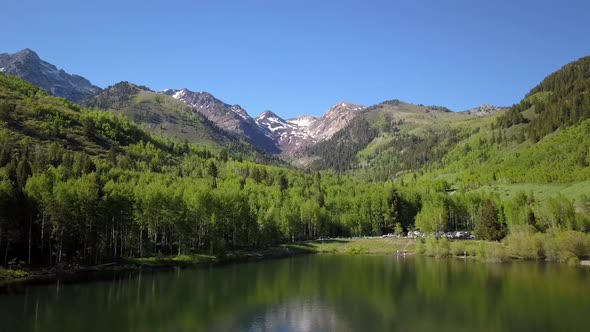 Flying low over lake and rising above thick forest