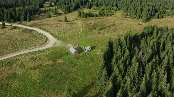 Drone View Mountain Barn Road Path Among Green Spruce Trees Sunny Warm Day