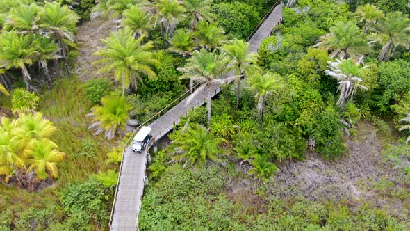 Aerial View of Wooded Bridge Over the Tropical Forest. Brazil