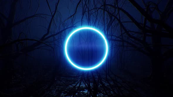 Glowing Blue Neon Circle Light in the Dark Forest