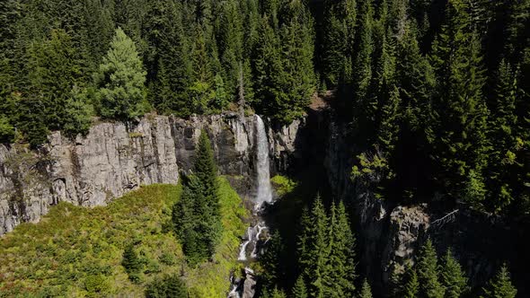 Pine Forests And Waterfall
