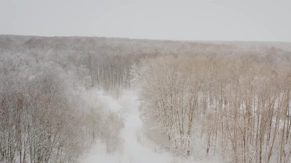 Snowflakes Swirl in the Air Over the Mountains