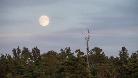 Moon timelapse