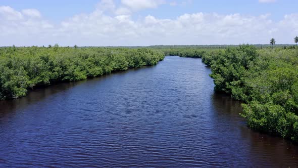 River crossing mangrove forest at San Pedro de Macoris in Dominican Republic. Aerial forward