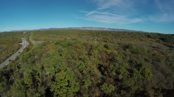 Aerial shot of a forest and a road