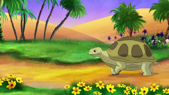 Big brown turtle walks