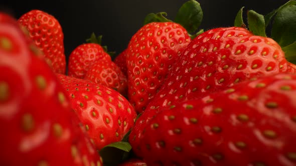 Fresh Ripe Red Strawberries 23