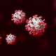 Realistic 3D Footage of the Coronavirus 2 SARSCoV2 2019nCoV - VideoHive Item for Sale