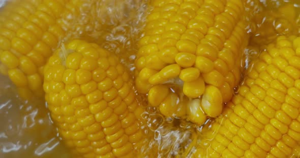 Corn Cobs in Boiling Hot Water