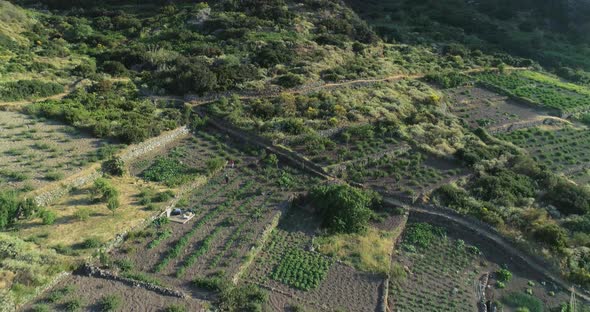 Aerial View of Country Fields in Sicily Rural Scene